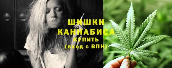 гидропоника Белокуриха