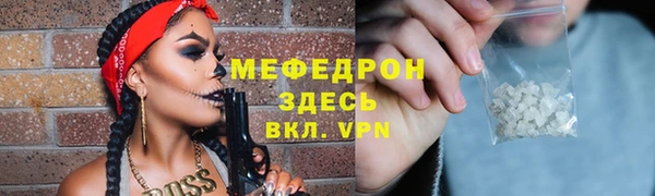 индика Арсеньев