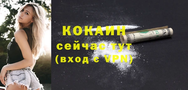 таблы Богородицк