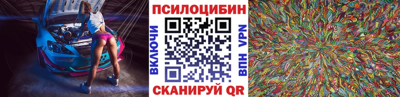 Галлюциногенные грибы Psilocybine cubensis  закладка  Кимры 